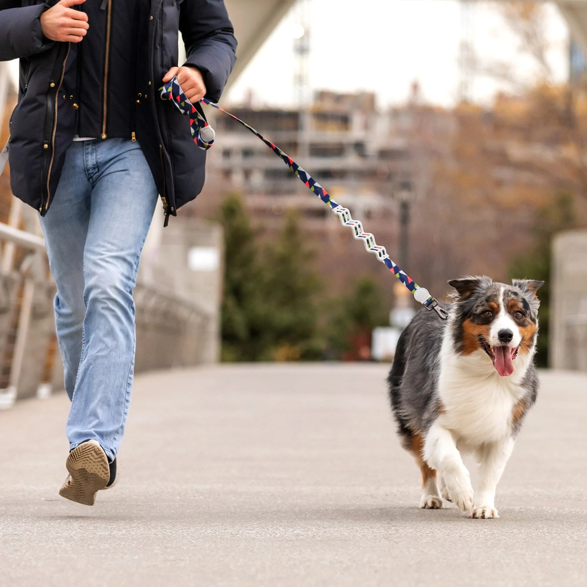 The ZigZag™ Durable Shock Absorbing Leash